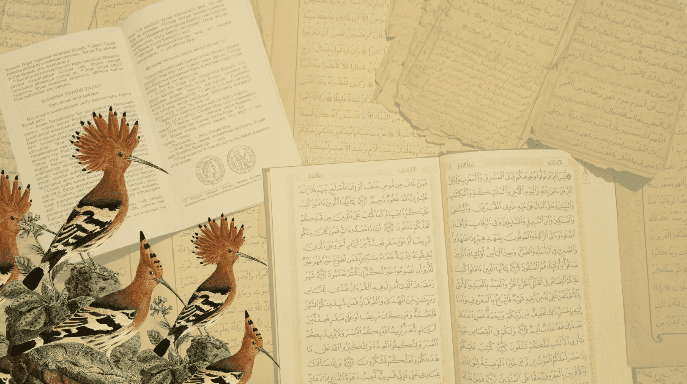 Bannière Ibn Hisham Institute