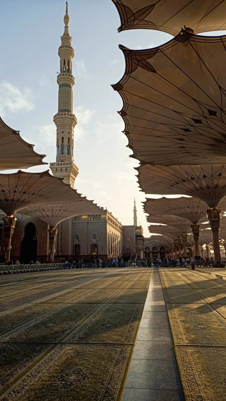 Séminaires Intensifs de Langue Arabe : Paliers Débutants A01 / A02 / A03